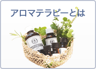 �A���}�e���s�[�Ƃ�