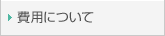 ��p�ɂ���