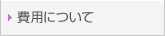 ��p�ɂ���