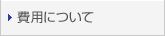 ��p�ɂ���