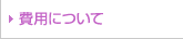 ��p�ɂ���