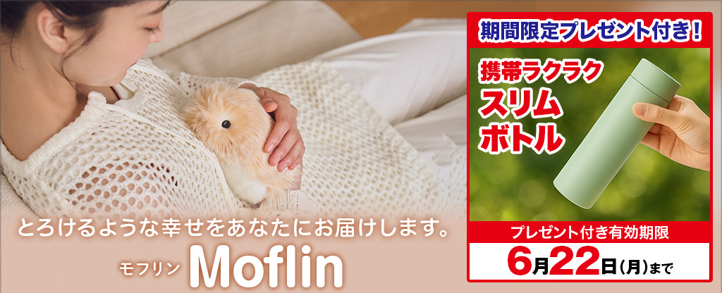 モフリンMoflin
