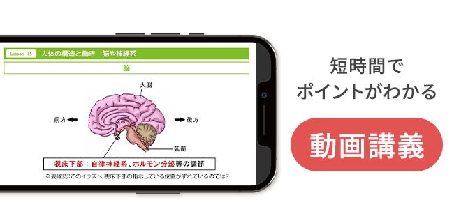 ユーキャンの登録販売者資格取得講座|合格までのスケジュール ユーキャンの登録販売者資格取得講座|合格までのスケジュール
