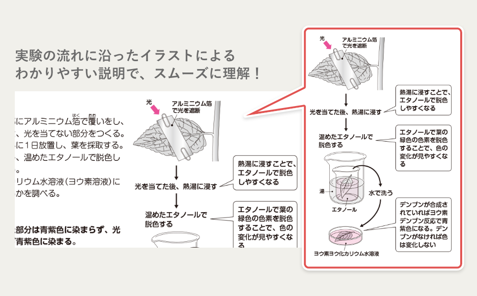 ユーキャンの高卒認定試験資格取得講座 コース紹介 理科 科学と人間生活 生物基礎 コース