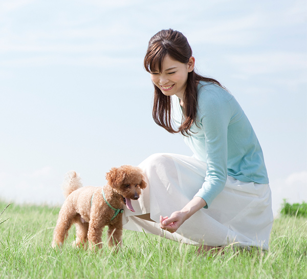 愛犬と楽しく暮らす知識とスキルを。