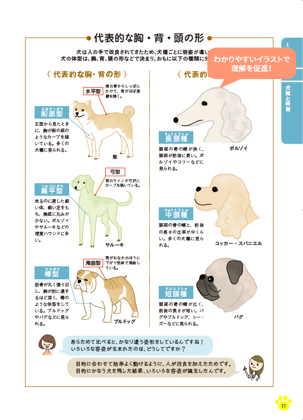 ユーキャンの愛犬飼育スペシャリスト通信教育講座 教材 テキスト