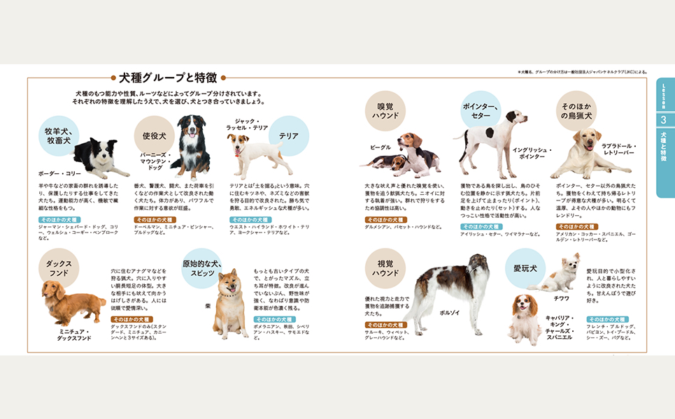 ドッグトレーニング 犬猫ストレスケア テキスト-