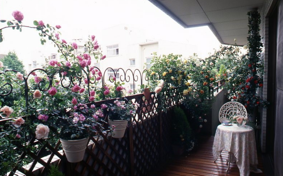 ユーキャンのガーデニング通信教育講座｜教材・テキスト