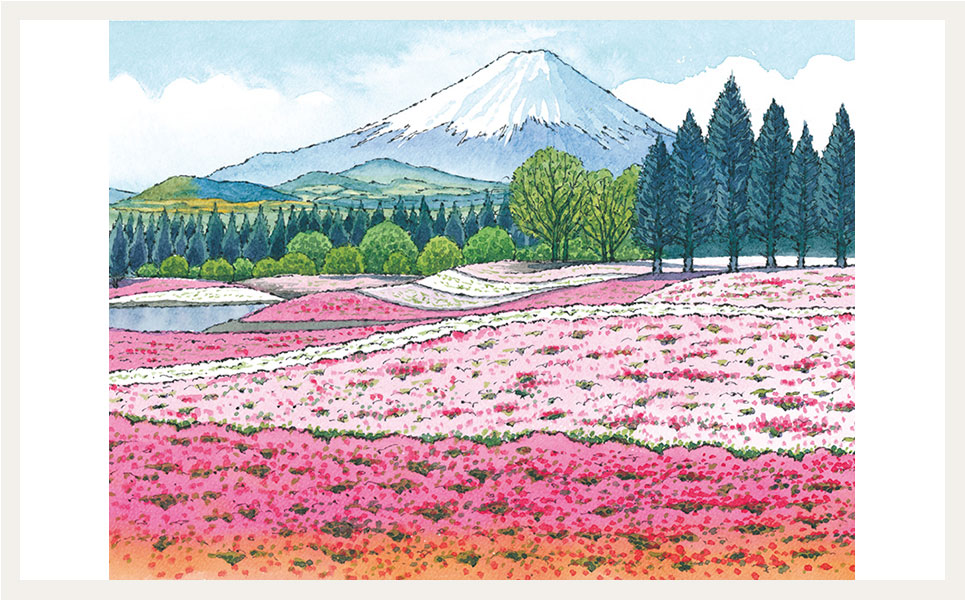 富士芝桜まつり