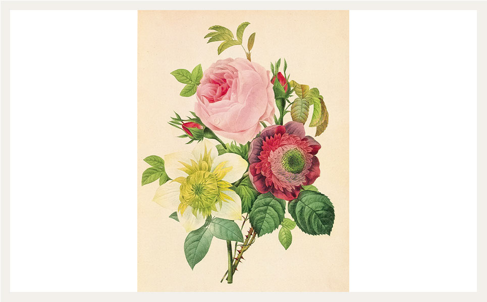 バラ、アネモネ、クレマチス