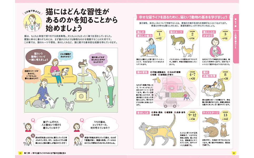 ユーキャンの愛猫飼育スペシャリスト資格取得講座 学習スケジュール ユーキャンの愛猫飼育スペシャリスト資格取得講座 学習スケジュール