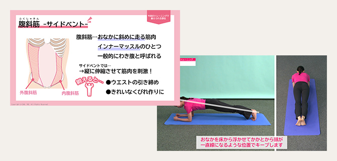 鍛える部位の知識と効果的なトレーニング方法をわかりやすくご紹介！