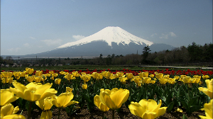 美しき日本の自然100選 花の都公園