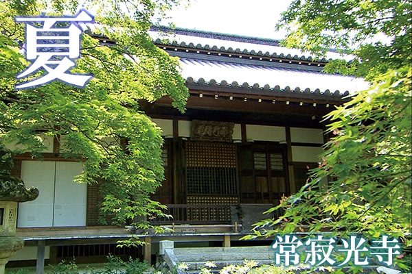 万緑の小倉山。百人一首ゆかりの地で、和歌の風情を味わいます。