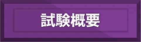 試験概要