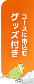 グッズ付きコースお申込み
