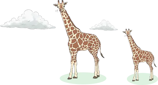 ざんねんないきもの検定とは？