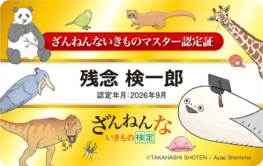 マスター限定 認定証カード サンプル