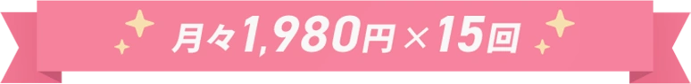 月々1,980円×15回