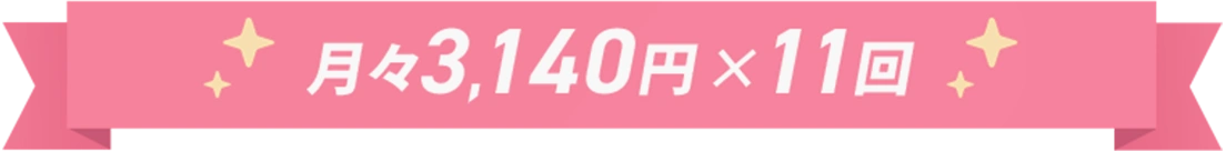 月々3,140円×11回