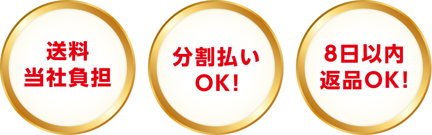 送料当社負担、分割払いOK！、8日以内返品OK！