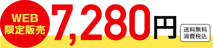 WEB限定販売 7,280円 送料無料 消費税込