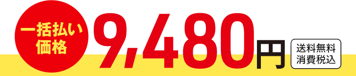 一括払い価格 9,480円 送料無料 消費税込
