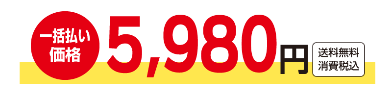 一括払い価格 5,980円 送料無料 消費税込
