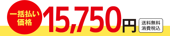 一括払い価格 15,750円 送料無料 消費税込